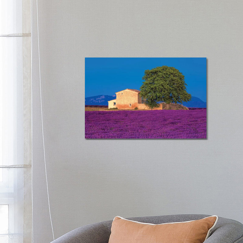 France, Provence. Lavender Field In The Valensole Plateau. by Jaynes Gallery - Wrapped Canvas Gallery-Wrapped Canvas Giclée