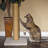 Scratching Post-90623966