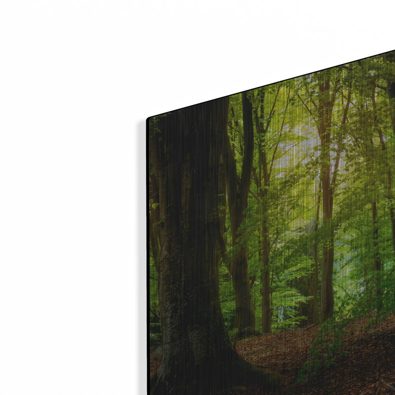 " Summer Forest " by Nicklas Gustafsson