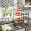 Courtly Check Herb Pots