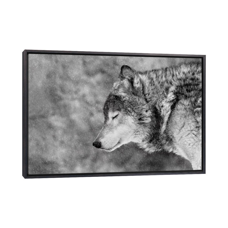 «Let It Snow» par Victoria Ivanova - reproduction de photo, Toile avec cadre noir patiné, H 18 po x l 26 po x P 1,5 po