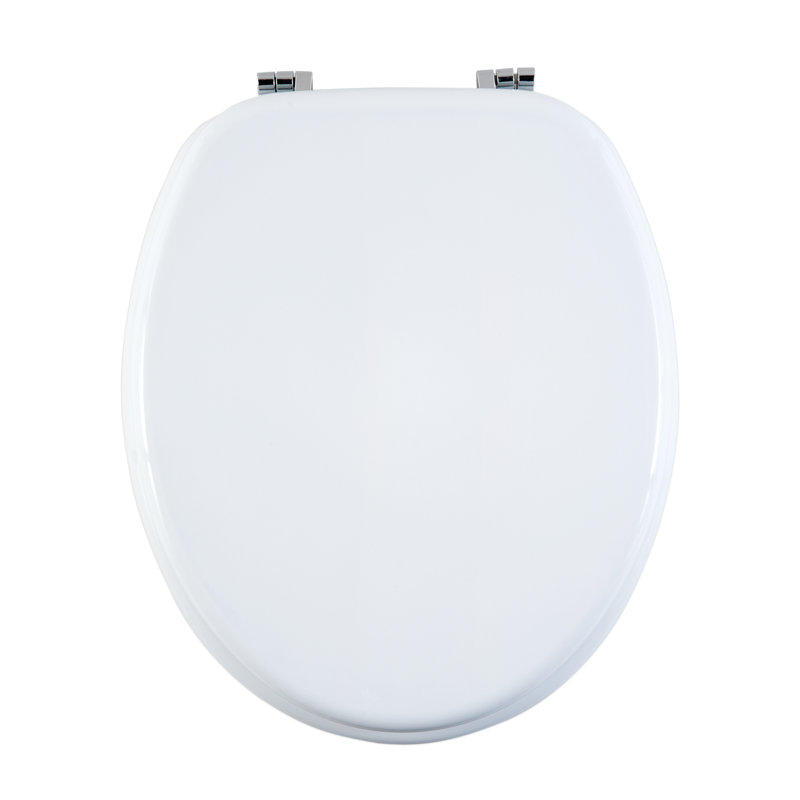 Oval Hard Toilet Seat