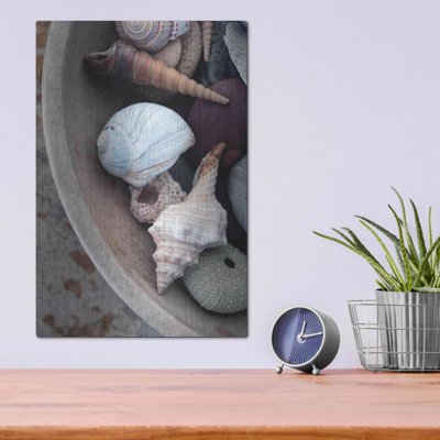 " Beachcomber Collection " by Elena Ray