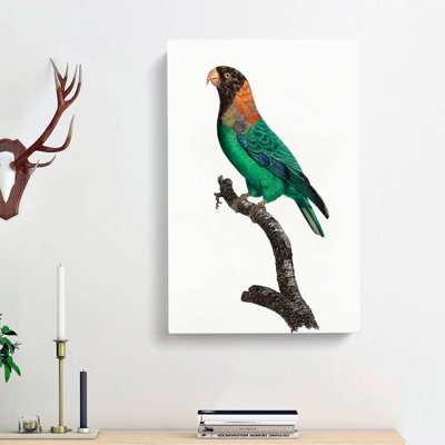 Caica Parrot by F. Levaillant - Wrapped Canvas