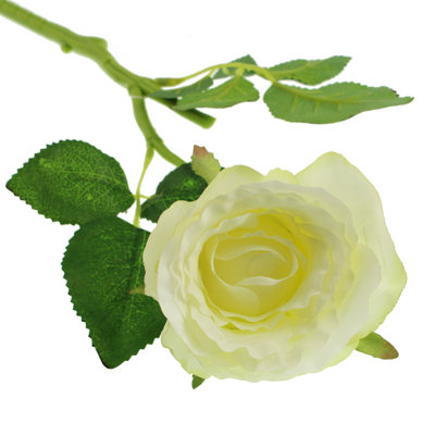 Rose Arrangement