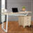Regeani Solid Wood Steel Computer Desk