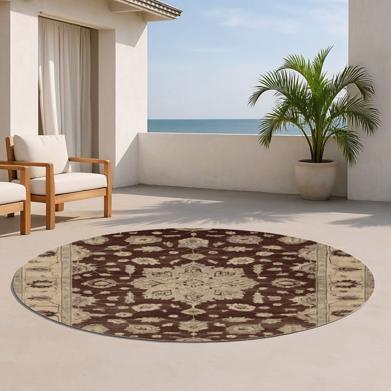 Tapis intérieur et extérieur brun Overdyed, Rond 5 pi