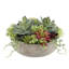 PLANT 14IN Round Succulent Arrangement, Natural Pot-80285221