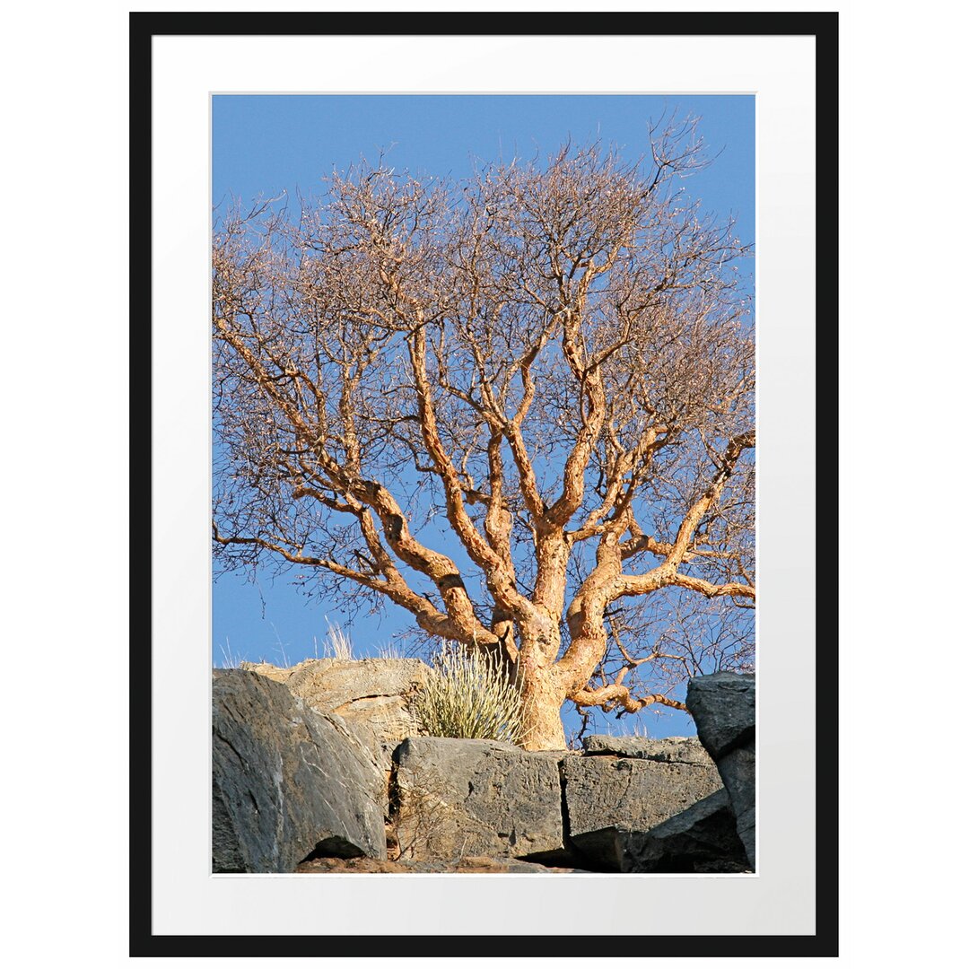 Gerahmtes Poster Einsamer Baum im Gebirge