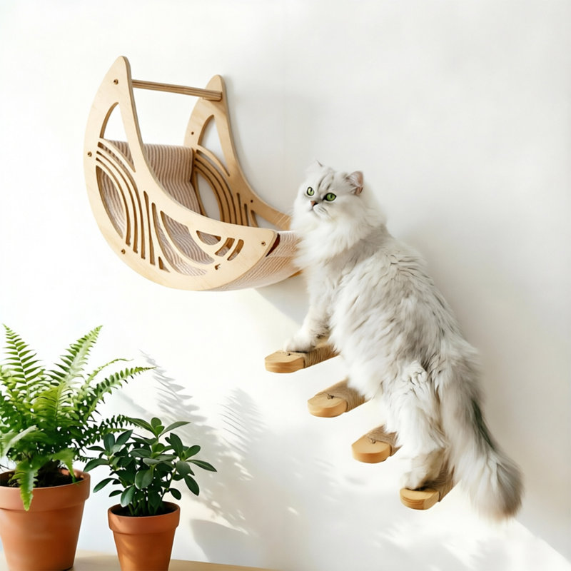 Cat Wall Climbing Shelves Hammock Set