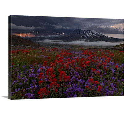 Apocalypse Now by Miles Morgan Photographic Print on Canvas