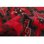 Tapis rouge Teimani 2 pi 9 po x 4 pi 10 po