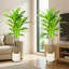 Faux Dracaena Tree Plant in Cement Freestanding  Planter-1502214237-1502214239