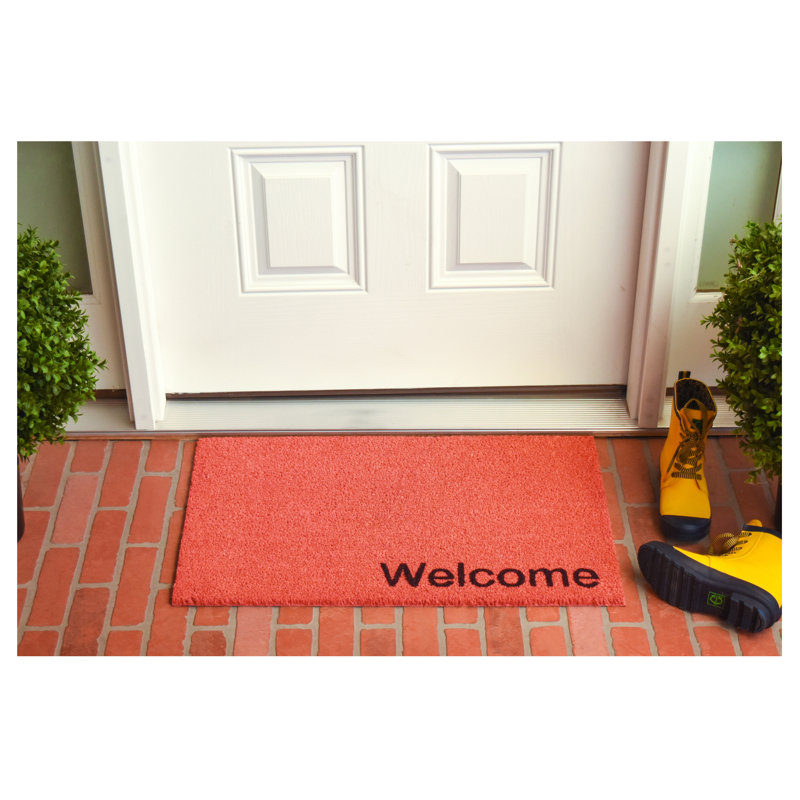 Tapis d'entrée antidérapant Kasper, L 17 po x L 29 po, Rose