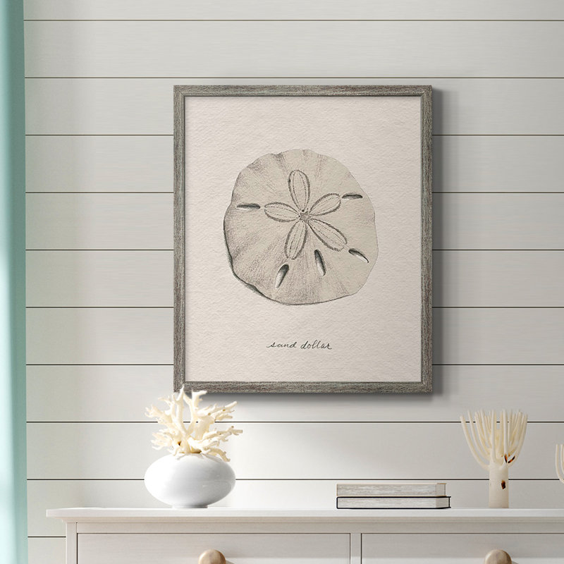 Toile encadrée de qualité supérieure Shore Treasure Study III - prête à être accrochée, Gris, H 20 po x l 16 po