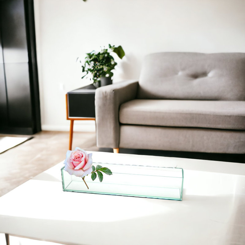 Slocomb Handmade Glass Planter Box, 4" H x 4" W x 24" D
