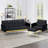 Zineta 67'' Velvet Sleeper Sofa-1751372698