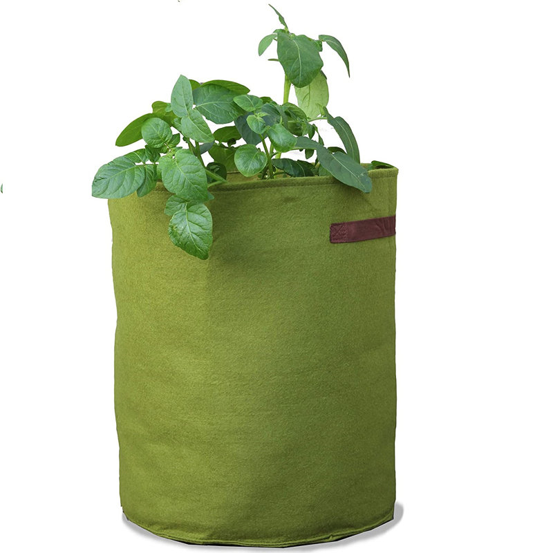 Arionah Pot Planter