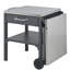Chariot de cuisine pliable pour l'extérieur pour la cour et le patio, avec rouille - roues de table, mobilité pratique