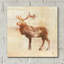 «Elk Study» par Studio Mousseau, art mural en verre acrylique épique, 24 po x 24 po-357393575