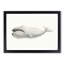 Bowhead Whale by C.M. Scammon - Framed Print-57844514-57844512