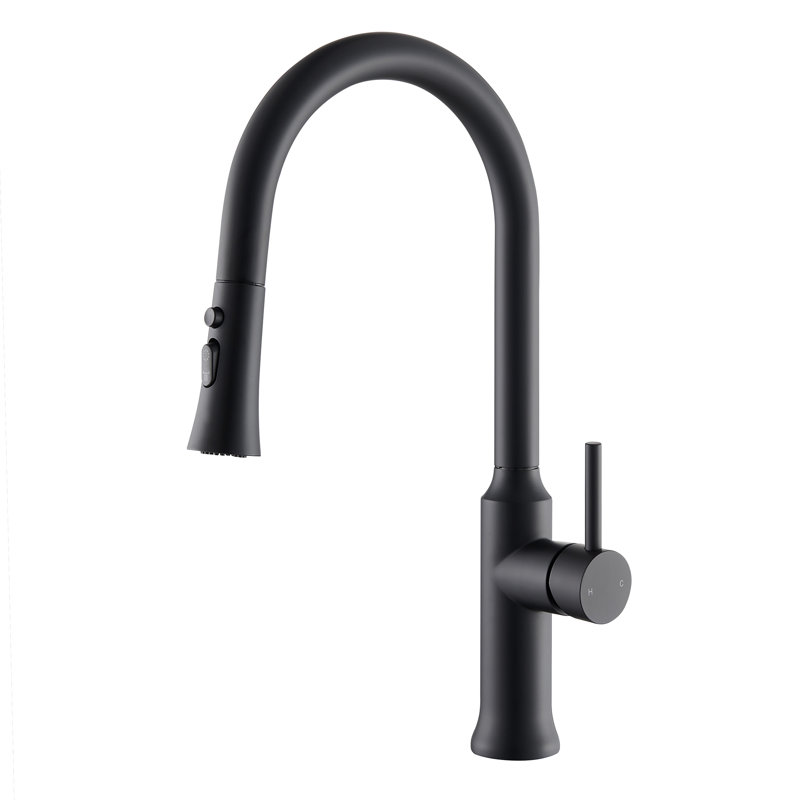 Robinet de cuisine à poignée simple Nette avec douchette extractible , Noir mat