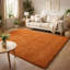Ainsley Plain Living Room Shaggy Area Rug Modern Soft Pile Polyester Rug-1957084370-1957069031