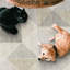 Tapis beige à motif géométrique moderne lavable à la machine Jahree Miles-436004263-467331315