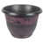 Plum selected