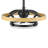 Acklen 21" Fandelier with LED Lights and Remote Control