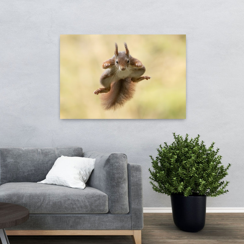 «Red Squirrel Mid-Air Energetic Playful Contemporary Squirrel Forest Nature», reproduction d'art, 32" H x 48" W