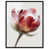 Black Floater Frame