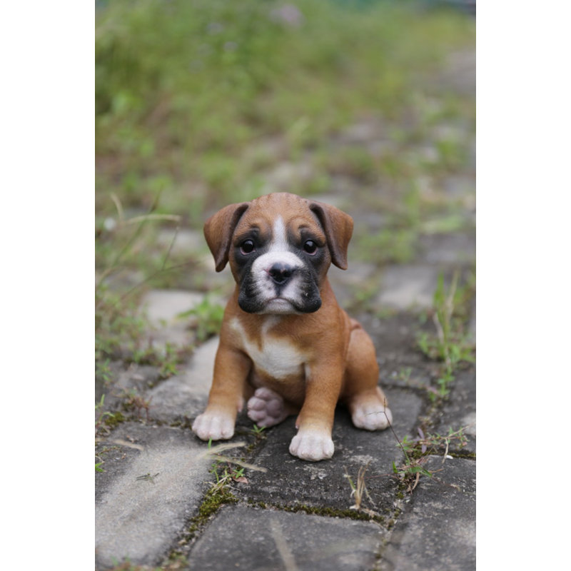 Adorable Brown and White Resin Boxer Puppy Statue