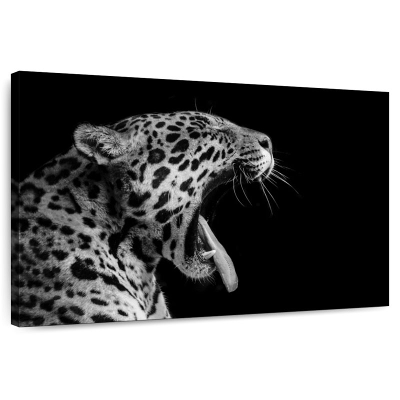 Bâton Brampt Jaguar