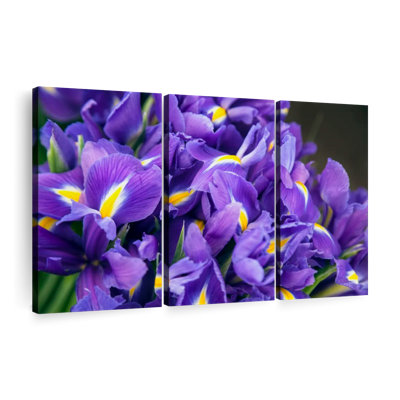 «Violet Irises», 3 pièces
