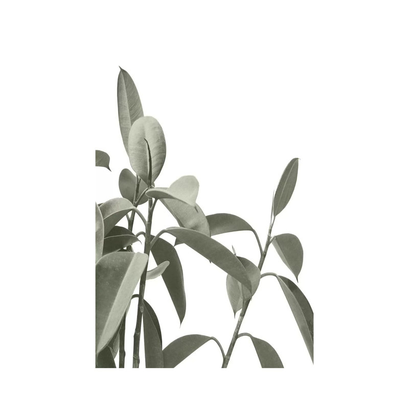 Pale Green Leaves 1 Piece Wrapped Canvas Wall Art, 152.5 cm H x 101.5 cm W