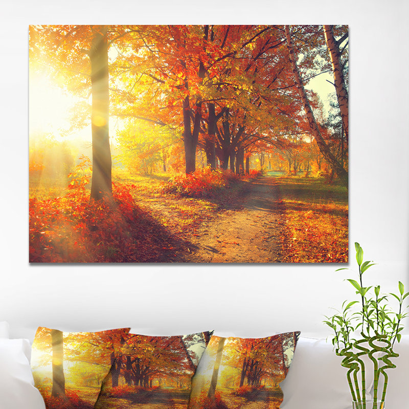 «Autumnal Trees, Sunrays», reproduction de photo sur toile tendue, H 28 po x l 60 po x P 1 po, Toile tendue