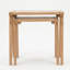 Elm Home And Garden Bayswater Mango Wood Nest of Tables