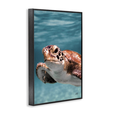 Tortue de mer sous l'eau, estampe numérique par Max Blakesberg Studios