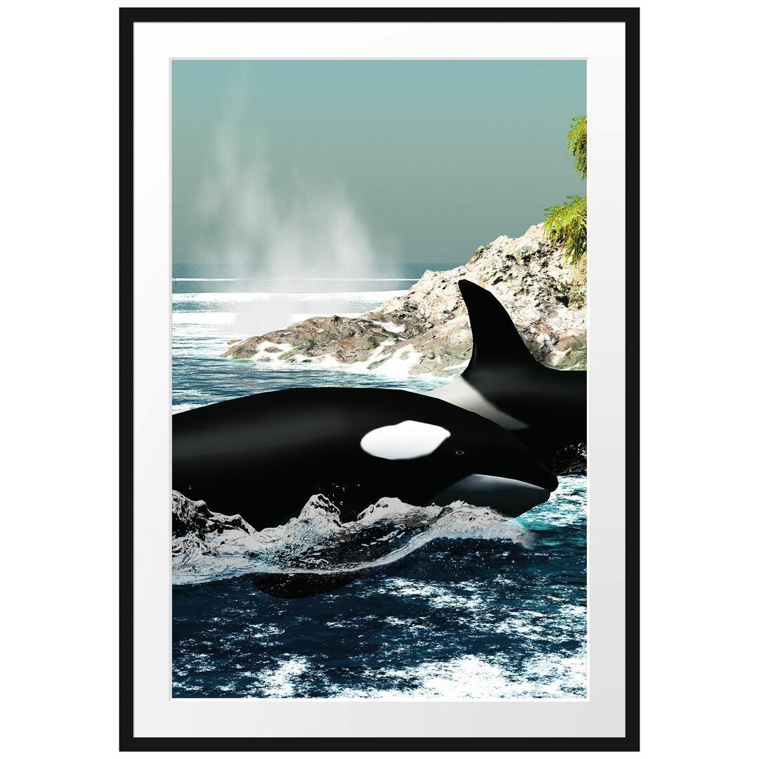 Gerahmtes Poster Orcas vor Insel