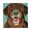 Grinning Chocolate Lab by Traci Anderson - Wrapped Canvas Print-1175141797