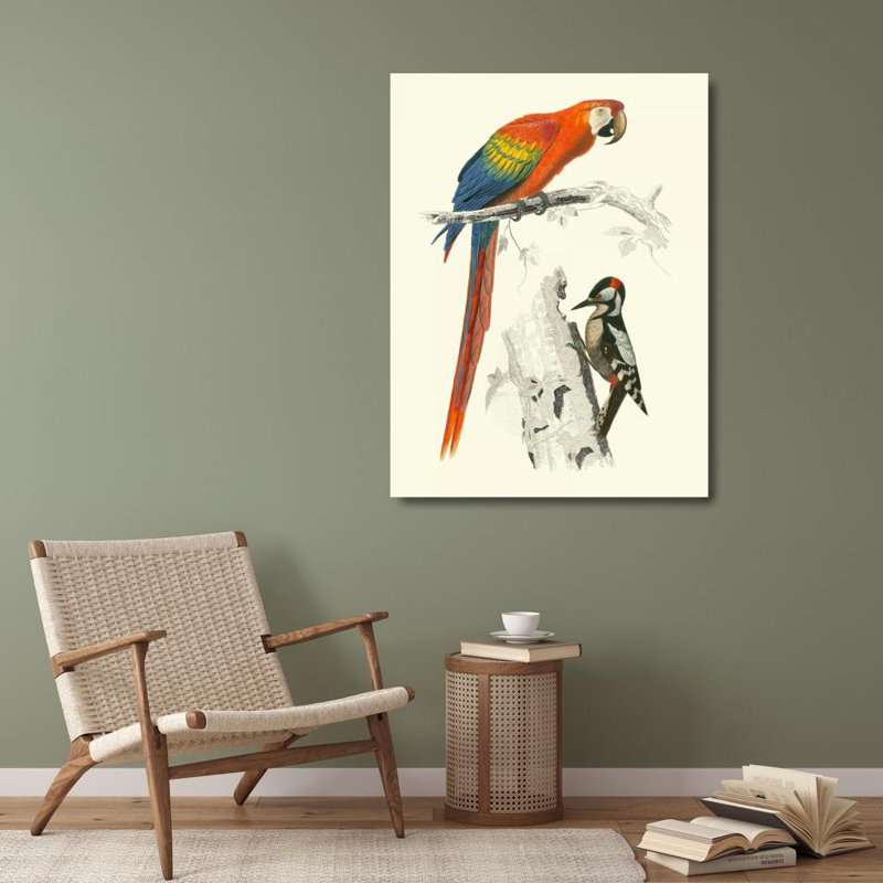 Bayou Breeze DOrbigny, M.Charles Gallery, art sur toile tendue: Birds of Costa Rica III
