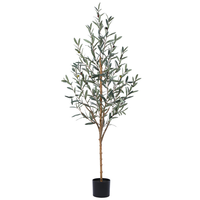 Adcock Artificial Olive Plants with Realistic Leaves and Natural Trunk, Fake Potted Tree Home Decor, 60" H x 20" W x 20" D
