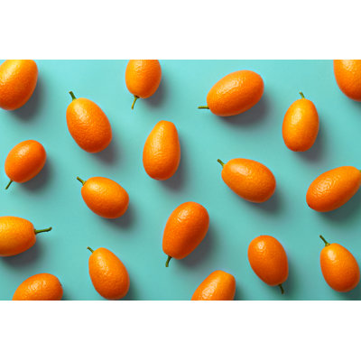 Pattern Of Fresh Kumquats. by Virtustudio - Wrapped Canvas Print