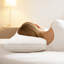 Bed Pillows Queen Size Goose Fluffy Pillows for Sleeping