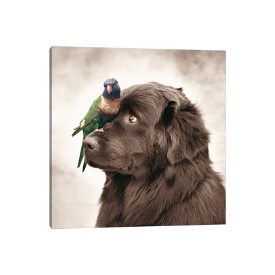 Henry And Pipi by Rachael Hale - Print on Canvas