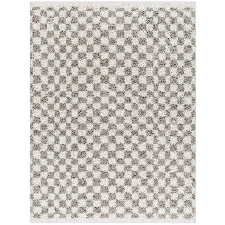 Dannyell Rectangle Checkered Machine Woven Polyester Area Rug in Light Gray/White 6’7”x9’ 