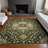 Machine Washable Indoor/Outdoor Chayden ACN1036 Rug-1206288145