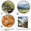 «Green Aspen Tree Valley», impression d'art mural paysage-450024359-450024358