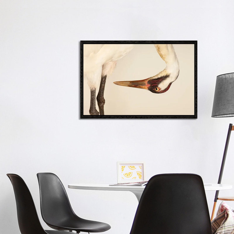 SaraThe Endangered And Federally Endangered Whooping Crane At The Audubon Center  Research Center 1 Piece Wall Art on Canvas
